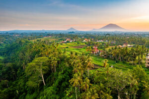 Ubud