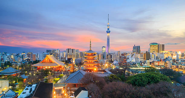 View of Tokyo skyline at sunset in Japan
